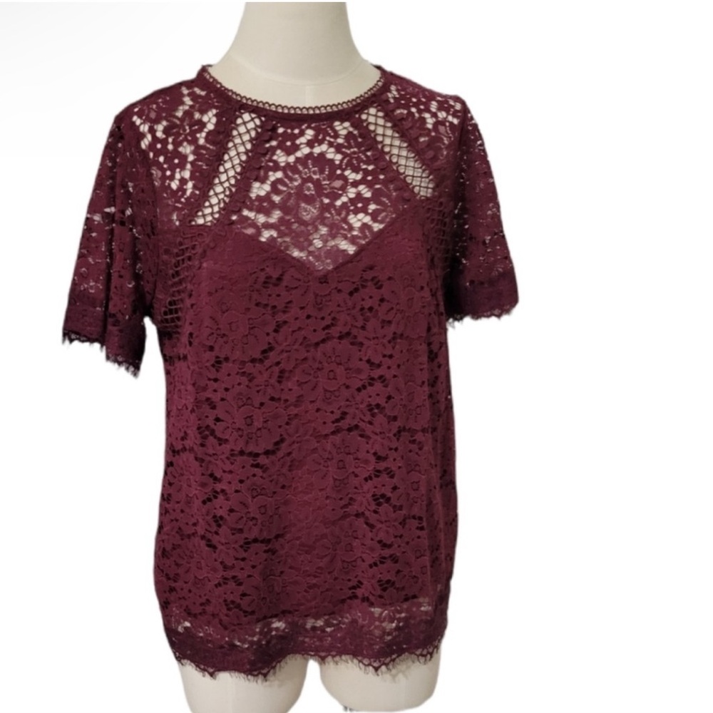 Lace Blouse Dex Women's Lace Burgundy Short Sleeve Top, Size Medium